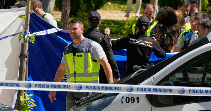 Former Ukrainian president’s advisor killed outside school in Spain – National
